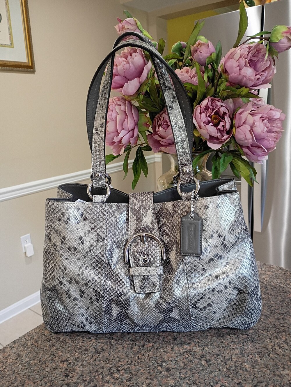 NWT Coach Soho Python Embossed Carryall - Picture 15 of 16